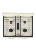 5.0 cu. ft. Gas Range with Center Oval Burner