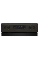 5.3 cu. ft. Whirlpool® electric range with Frozen Bake™ technology