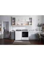 8.8 cu. ft. Smart Top Load Electric Dryer