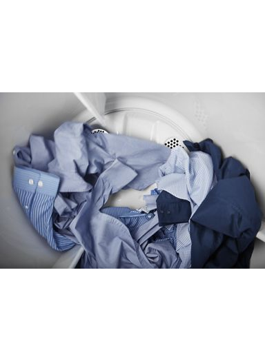 Top Load Gas Wrinkle Prevent Dryer - 7.0 cu. ft.