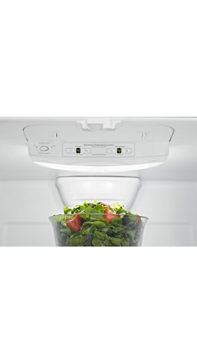 30-inch Bottom Freezer Refrigerator with Freezer Drawer