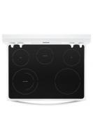 5.3 cu. ft. Freestanding Electric Range with 5 Elements