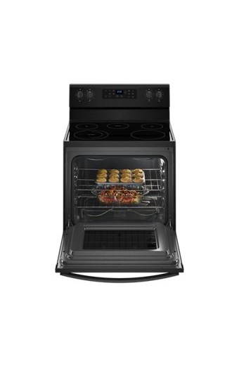 5.3 cu. ft. Freestanding Electric Range with 5 Elements