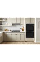 10.0 Total Cu. Ft. Double Wall Oven with Air Fry When Connected